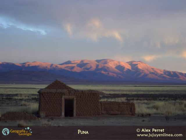 Puna