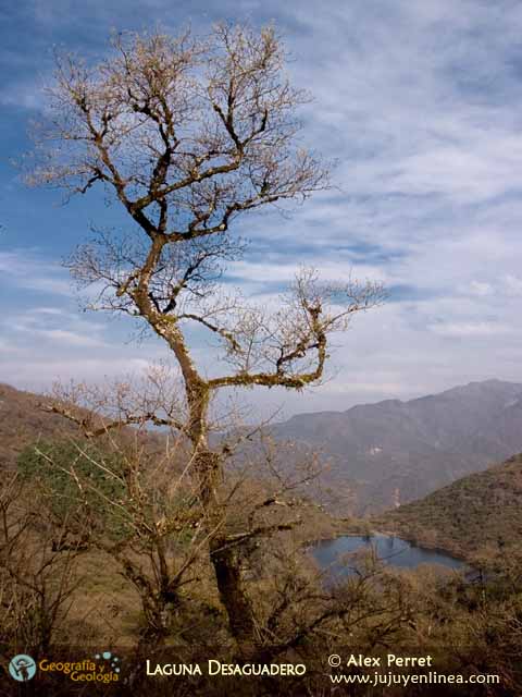 Laguna Desaguadero