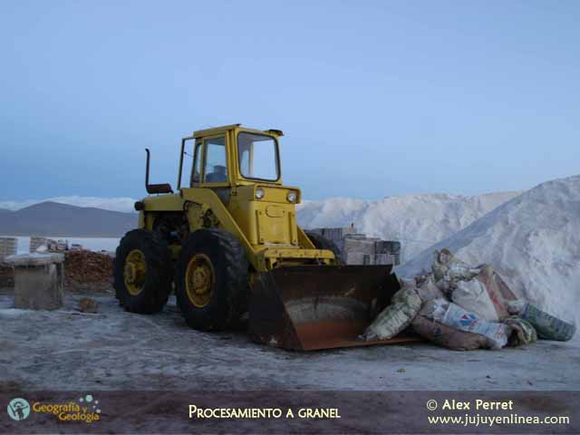Procesamiento a granel