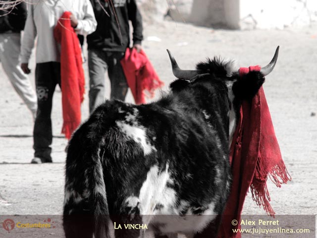 La Vincha