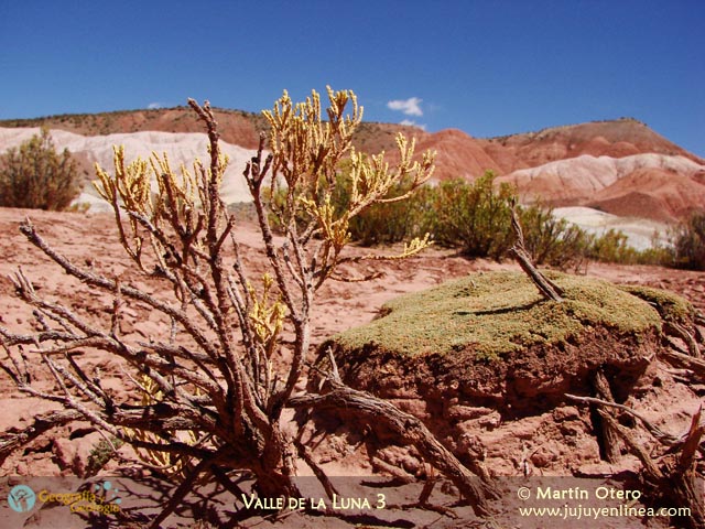 Valle de la Luna 3