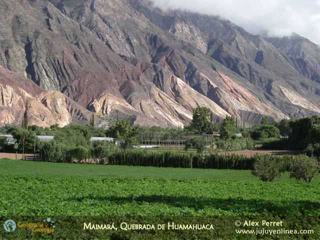 Jujuy