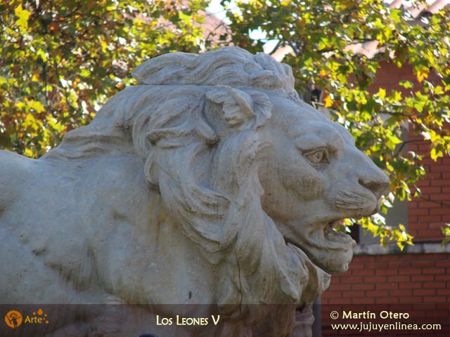 Los Leones V