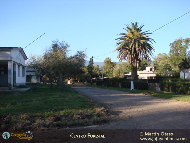 Centro Forestal