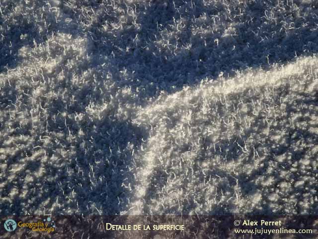 Detalle de la superficie