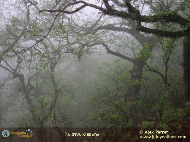 Parque Nacional de Calilegua